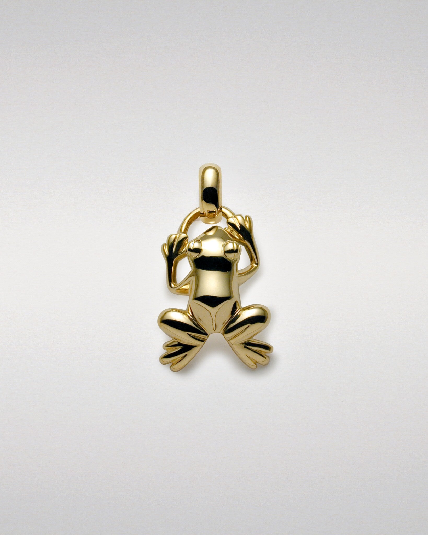 Frog Pendant